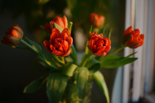 Spring into a murder mystery